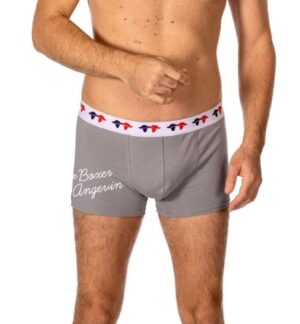 Boxer gris Angevin