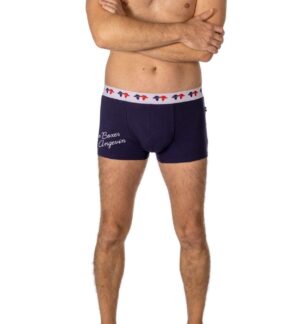Boxer bleu Angevin