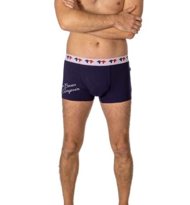 Boxer bleu Angevin