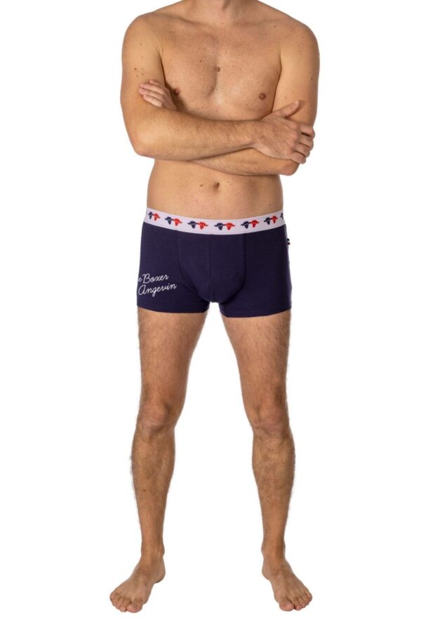 Boxer bleu Angevin