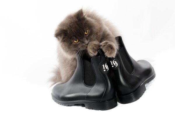 Bottines Flavie Seize point neuf
