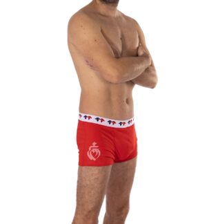 Boxer Vendéen fabriqué en France