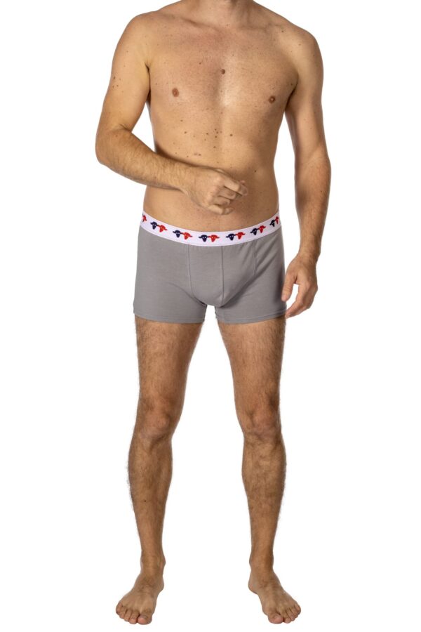 Boxer vincent gris