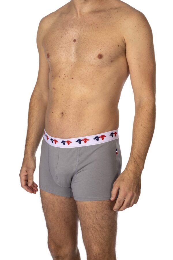Boxer Vincent Gris