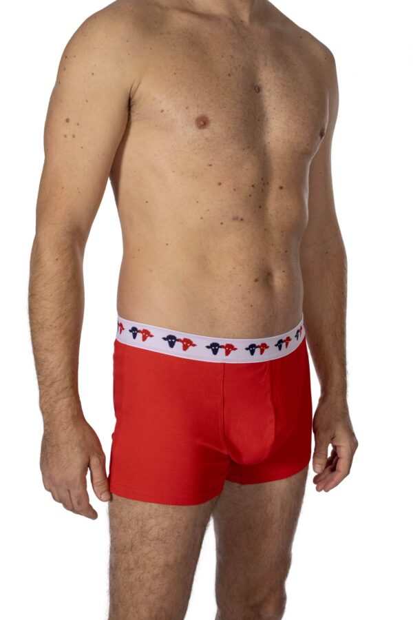 Boxer Vincent Rouge