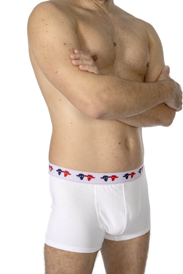Boxer Vincent Blanc