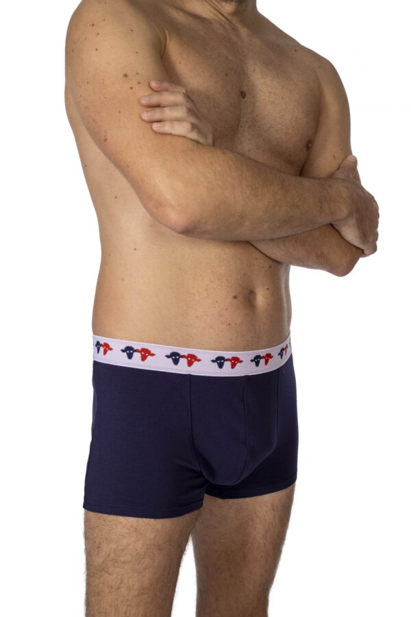 boxer vincent bleu