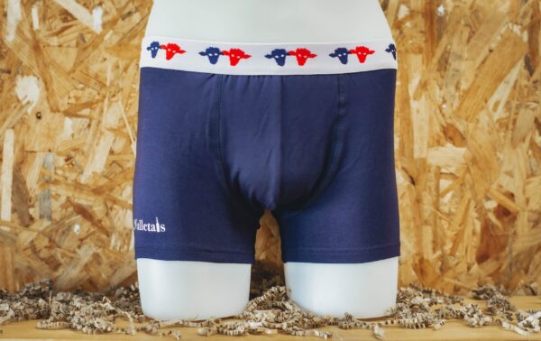 boxer LE VALLETAIS Seize point neuf